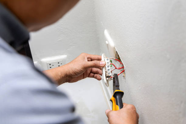 Best Electric Panel Repair  in Eufaula, AL